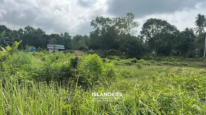 Изысканная земля с видом на джунгли в аренду в Баан Таи, Ко Пханган