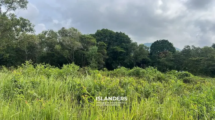 Изысканная земля с видом на джунгли в аренду в Баан Таи, Ко Пханган