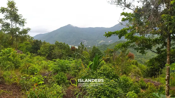 Land for Sale, 6 Rai in Chaloklum