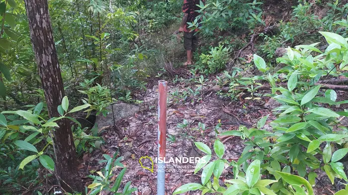 Land for Sale, 6 Rai in Chaloklum