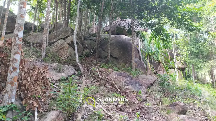 Land for Sale, 6 Rai in Chaloklum