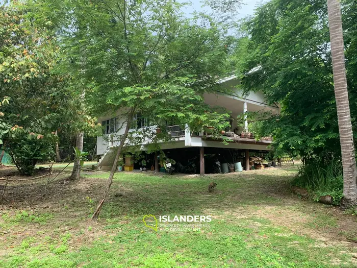 Плоская земля с 2 домами на Кокосовой аллее!