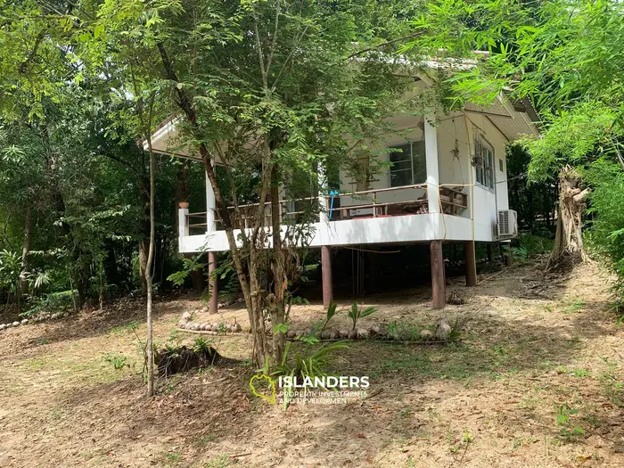 Плоская земля с 2 домами на Кокосовой аллее!