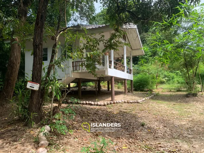 Плоская земля с 2 домами на Кокосовой аллее!