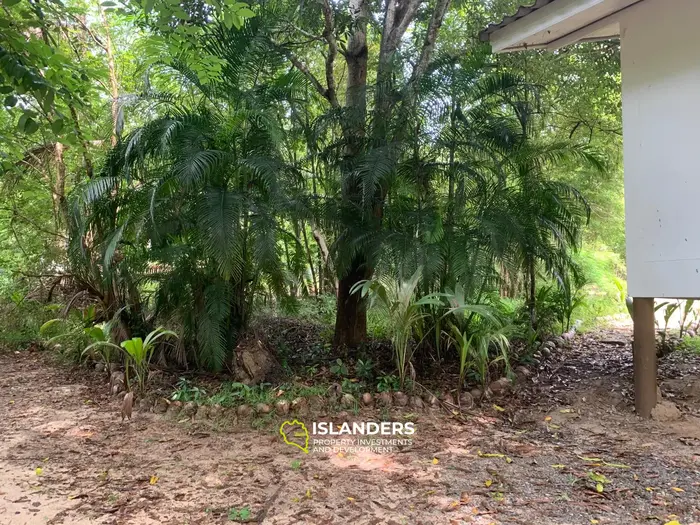 Плоская земля с 2 домами на Кокосовой аллее!