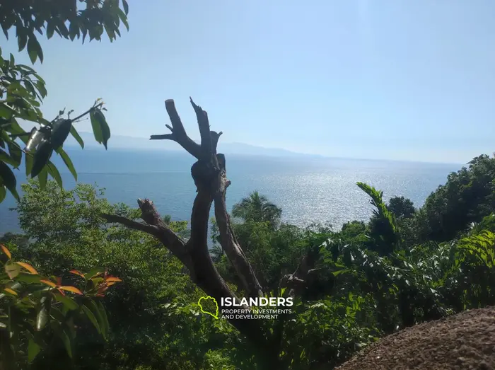 Земля на берегу и с видом на море!!!