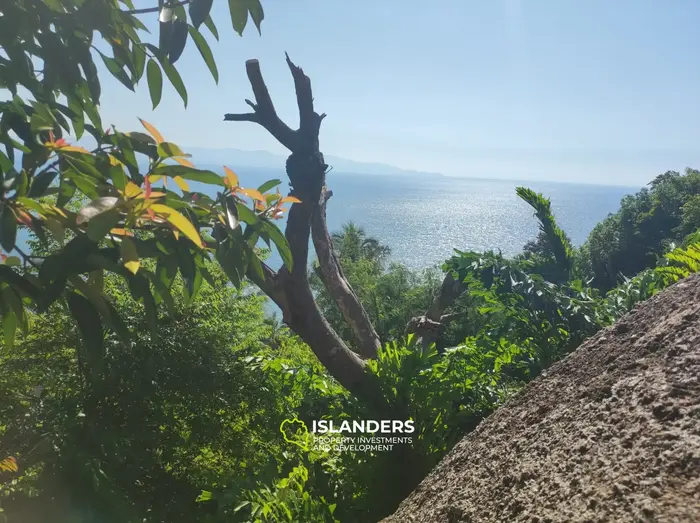 Земля на берегу и с видом на море!!!