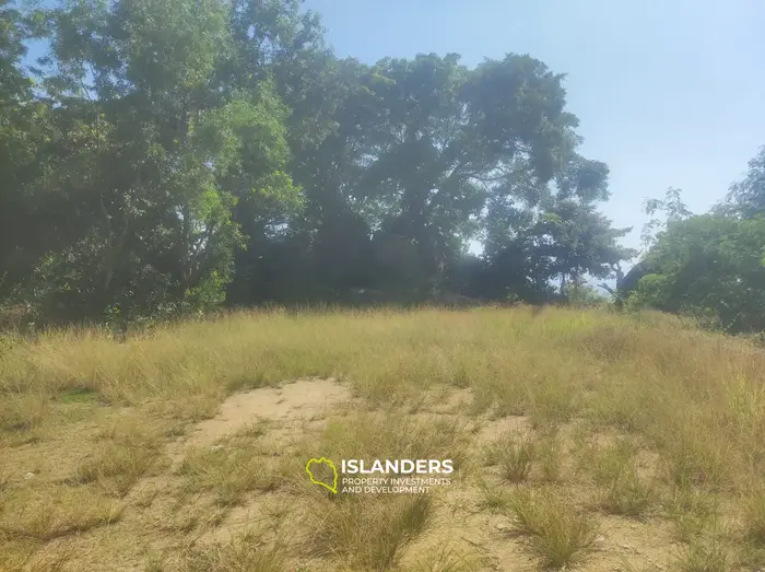 Земля на берегу и с видом на море!!!