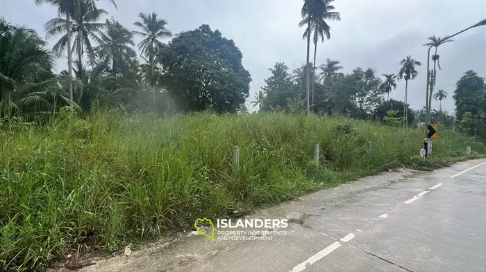 Tropical Paradise: Lease Your Own Jungle Retreat in Koh Phangan