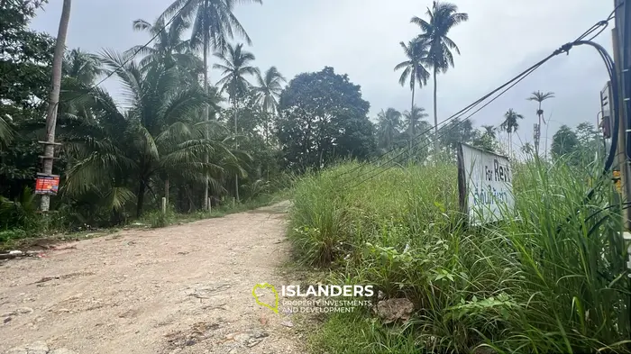 Tropical Paradise: Lease Your Own Jungle Retreat in Koh Phangan