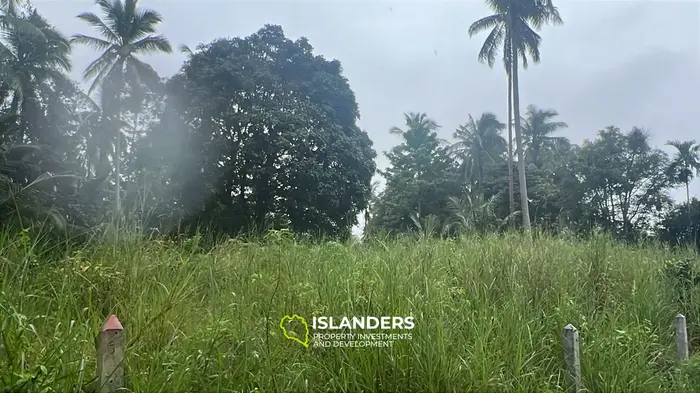 Tropical Paradise: Lease Your Own Jungle Retreat in Koh Phangan