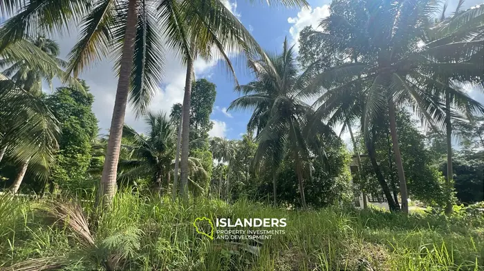 เช่าที่ดินมุมมองป่าเขตร้อนในศรีธนู, เกาะพะงัน