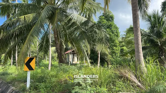 เช่าที่ดินมุมมองป่าเขตร้อนในศรีธนู, เกาะพะงัน