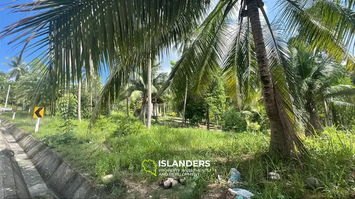 Lease Prime Jungle View Land in Srithanu, Koh Phangan