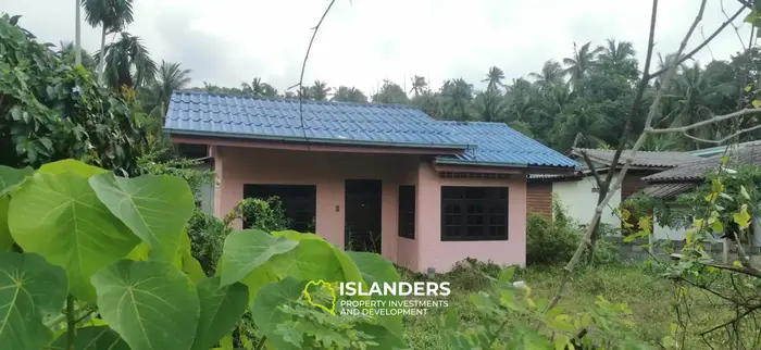 בית לשיפוץ בסריתנו