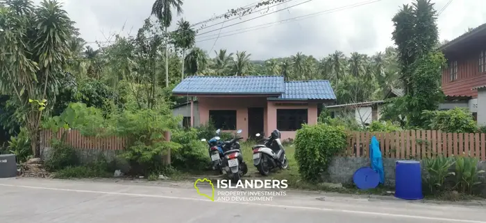 בית לשיפוץ בסריתנו