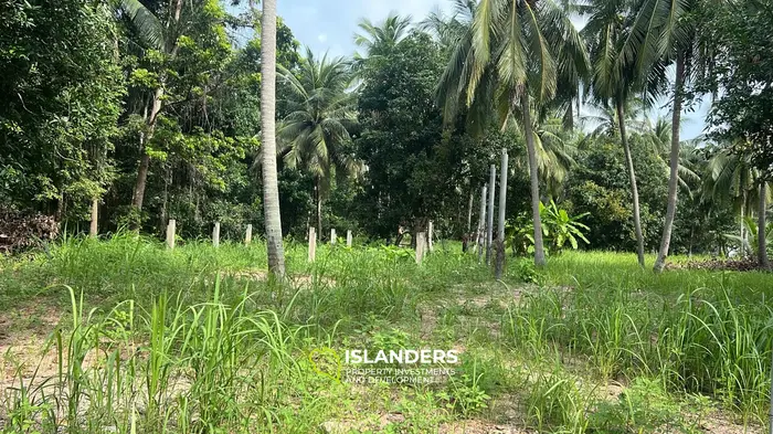 Exquisite Jungle Retreat Land for Lease in Koh Phangan