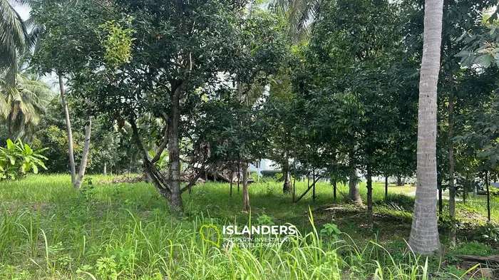 Retraite de jungle exquise à louer à Koh Phangan