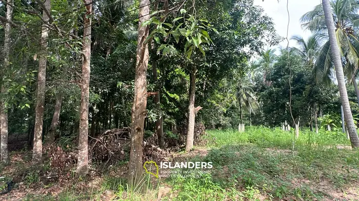 Retraite de jungle exquise à louer à Koh Phangan