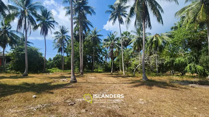 מכירה / השכרה (כאפשרות) של נוף ג'ונגל הונג קונג