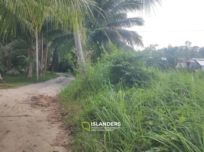 إيجار أرض مسطحة 2 راي