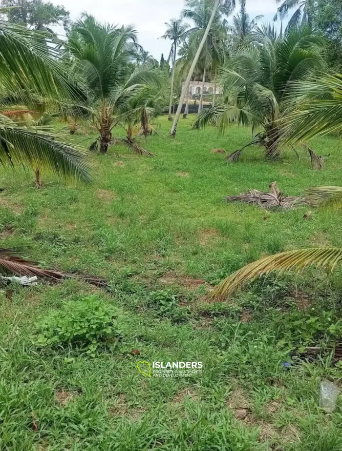 เช่าที่ดินในในวอก, เกาะพะงัน ใช้เวลาเดินทาง 2 นาทีจากชายหาดที่มีพระอาทิตย์ตก