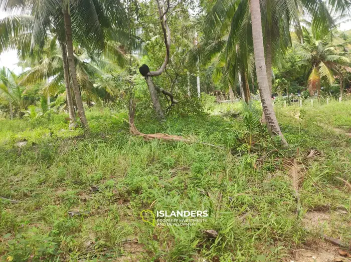 เช่าที่ดินในในวอก, เกาะพะงัน ใช้เวลาเดินทาง 2 นาทีจากชายหาดที่มีพระอาทิตย์ตก