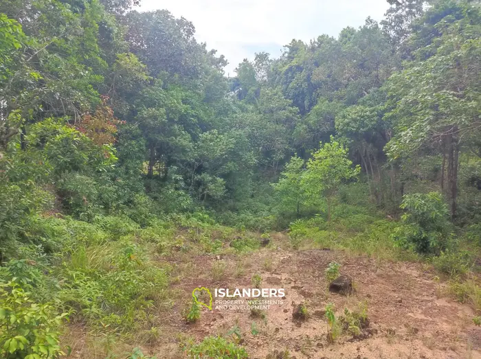 Srithanu area 3 rai for lease 