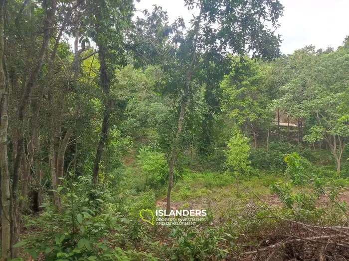 Srithanu area 3 rai for lease 