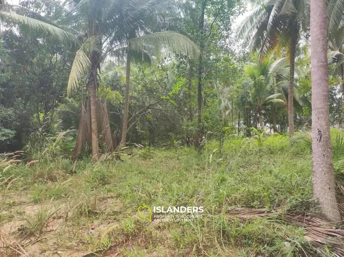 Srithanu area 3 rai for lease 