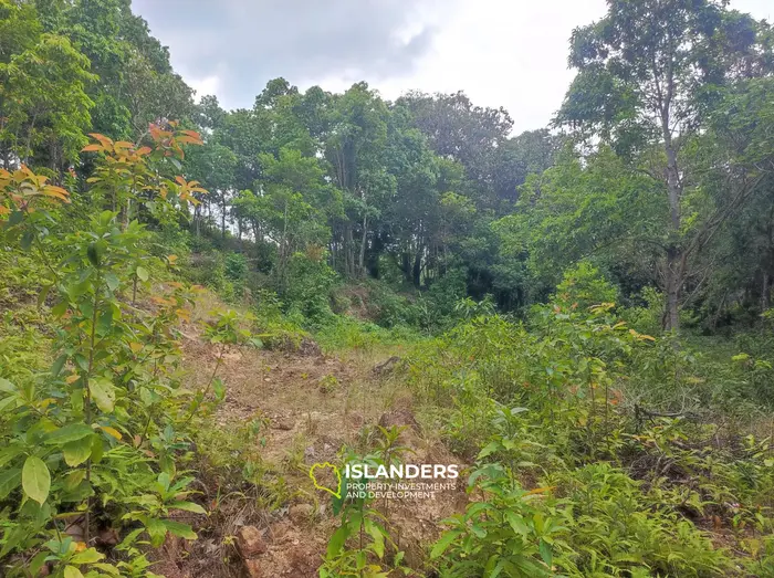 Участок земли 3 рай в районе Сритану в аренду.