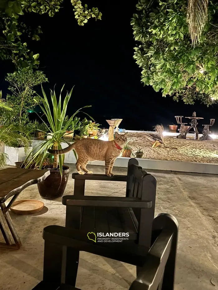 Ультимативный пляжный рай – 2-спальная вилла на Кох Пхангане