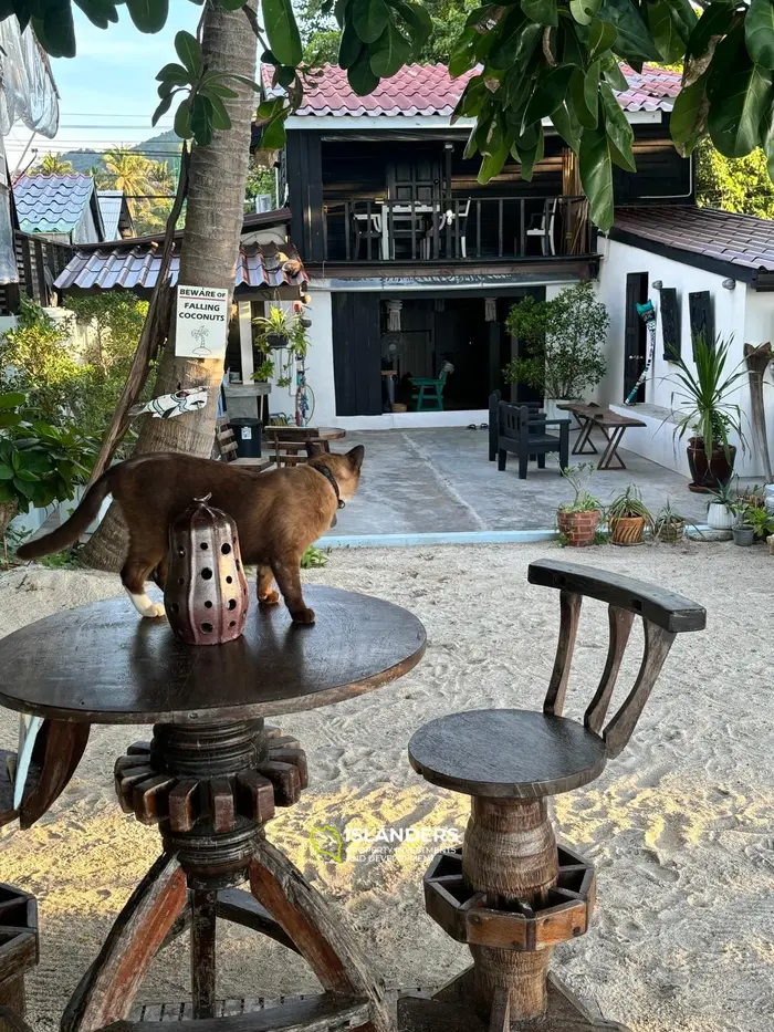 Ультимативный пляжный рай – 2-спальная вилла на Кох Пхангане