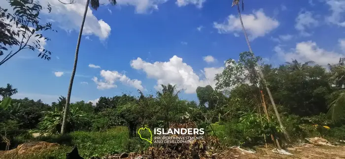 IDYLLIC LAND FOR SALE NEAR COCO LANE, HOLLYSTONE 🌴