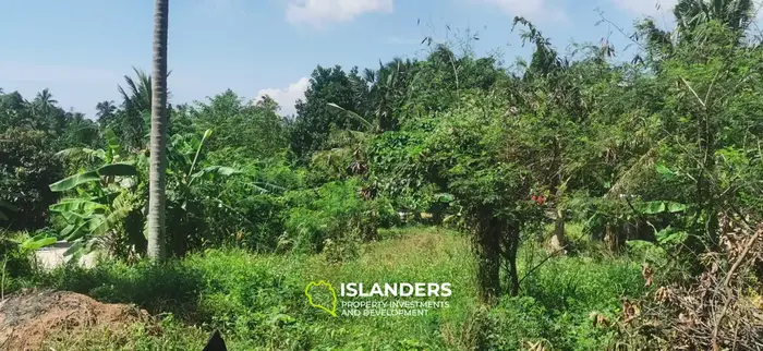 IDYLLIC LAND FOR SALE NEAR COCO LANE, HOLLYSTONE 🌴