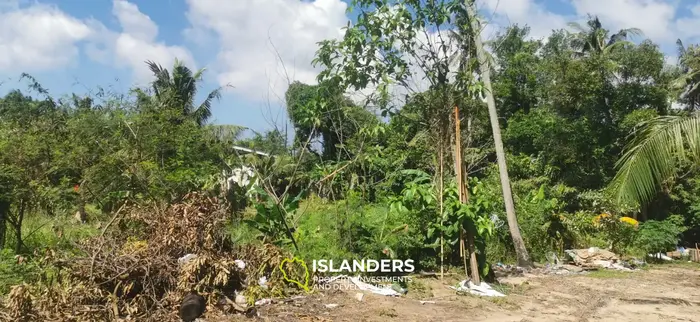 IDYLLIC LAND FOR SALE NEAR COCO LANE, HOLLYSTONE 🌴