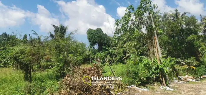 IDYLLIC LAND FOR SALE NEAR COCO LANE, HOLLYSTONE 🌴