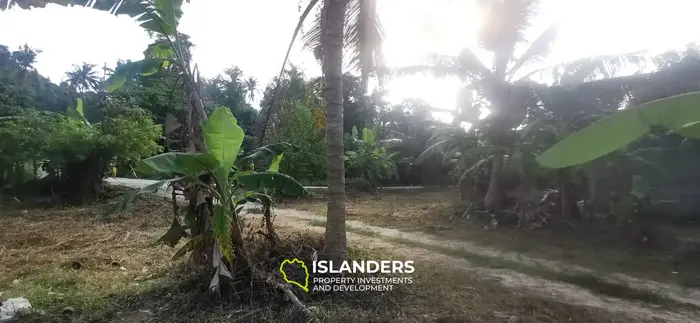 IDYLLIC LAND FOR SALE NEAR COCO LANE, HOLLYSTONE 🌴