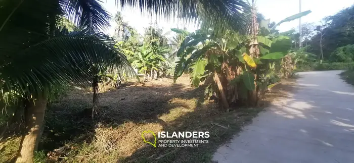 IDYLLIC LAND FOR SALE NEAR COCO LANE, HOLLYSTONE 🌴