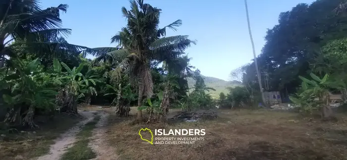 IDYLLIC LAND FOR SALE NEAR COCO LANE, HOLLYSTONE 🌴