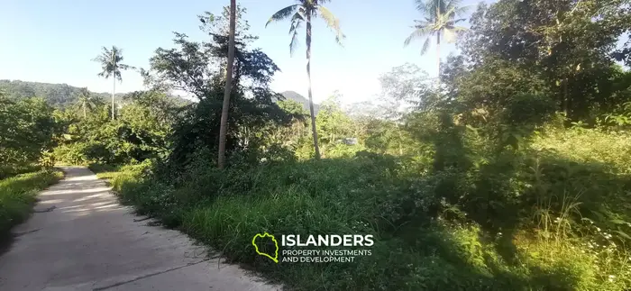 IDYLLIC 1,520 SQM plot NEAR HOLLYSTONE 🌴