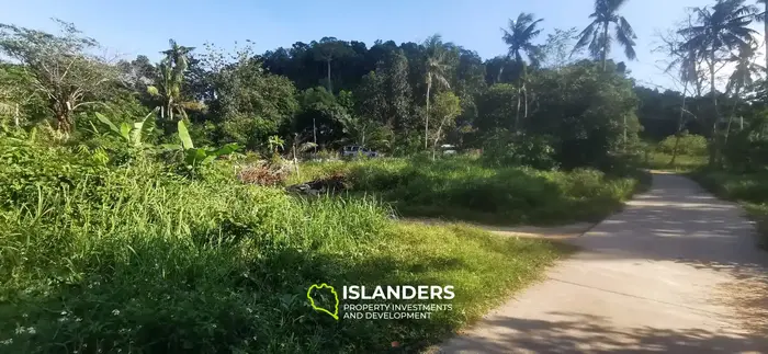 IDYLLIC 1,520 SQM plot NEAR HOLLYSTONE 🌴