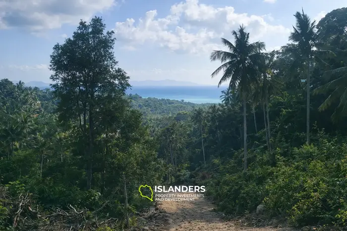 Sea view land in Srithanu!