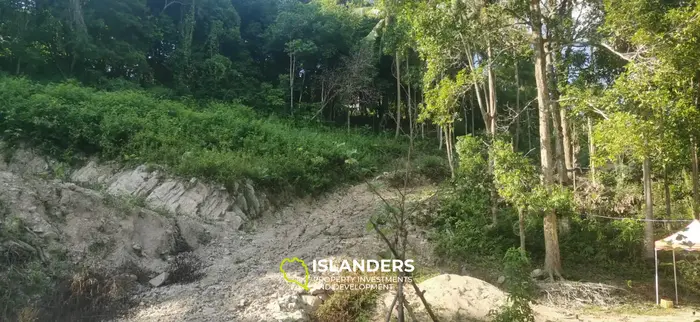 Sea view land in Srithanu!