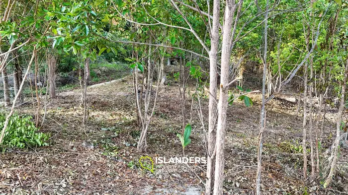 Parcelas con vistas a la montaña y al mar
