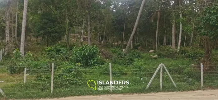 אדמת נוף ים גדול בהאד יאו