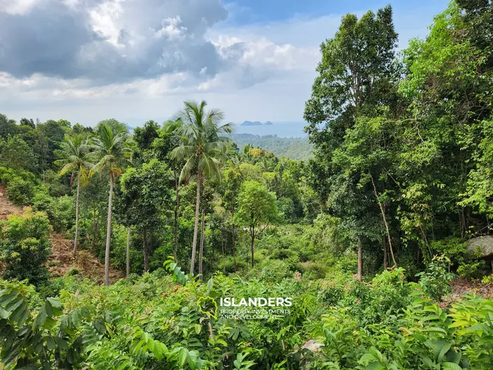 Terreno en venta - Haad Yao–Srithanu, Ko Pha-ngan