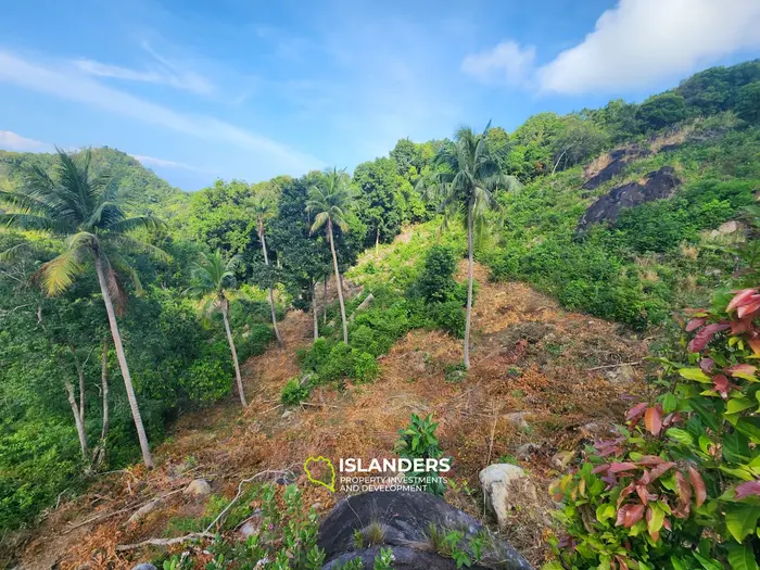 Terreno en venta - Haad Yao–Srithanu, Ko Pha-ngan