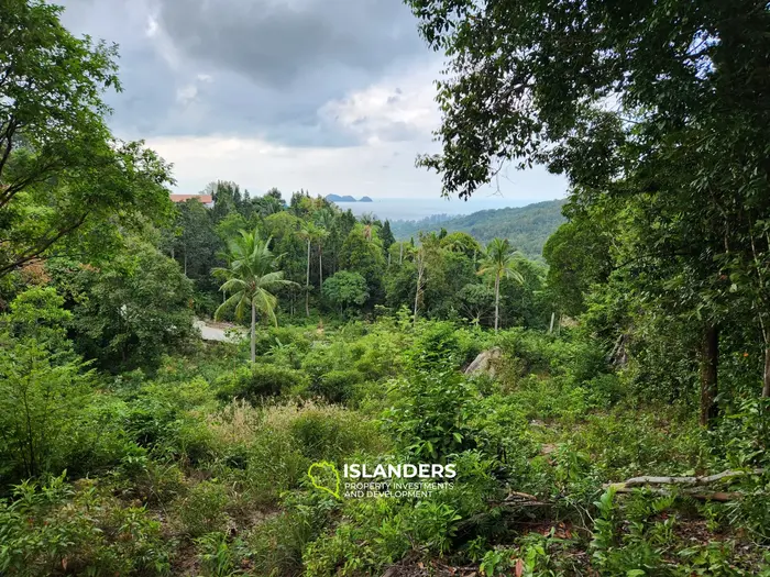 Terreno en venta - Haad Yao–Srithanu, Ko Pha-ngan