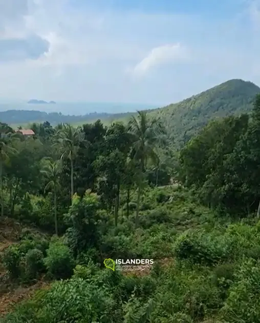 Terreno en venta - Haad Yao–Srithanu, Ko Pha-ngan